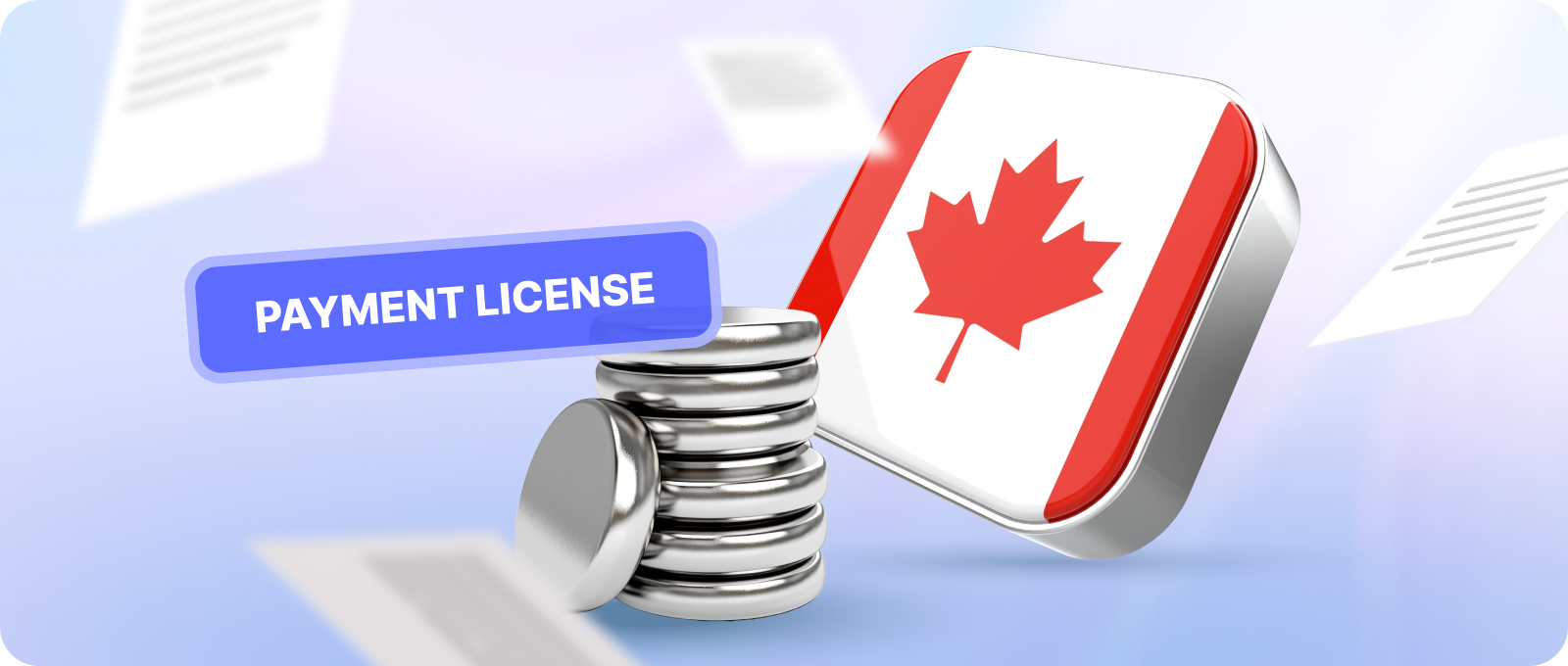 payment institution license